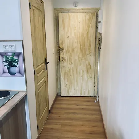 Quartier De L'orangerie 公寓 斯特拉斯堡