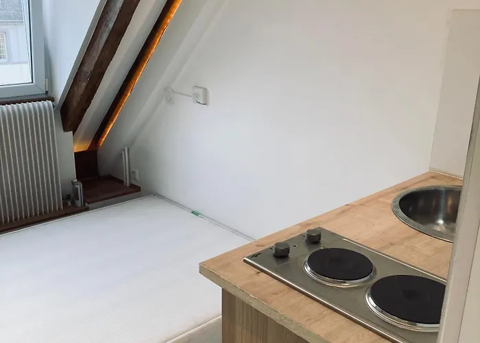 Quartier De L'orangerie 公寓 斯特拉斯堡