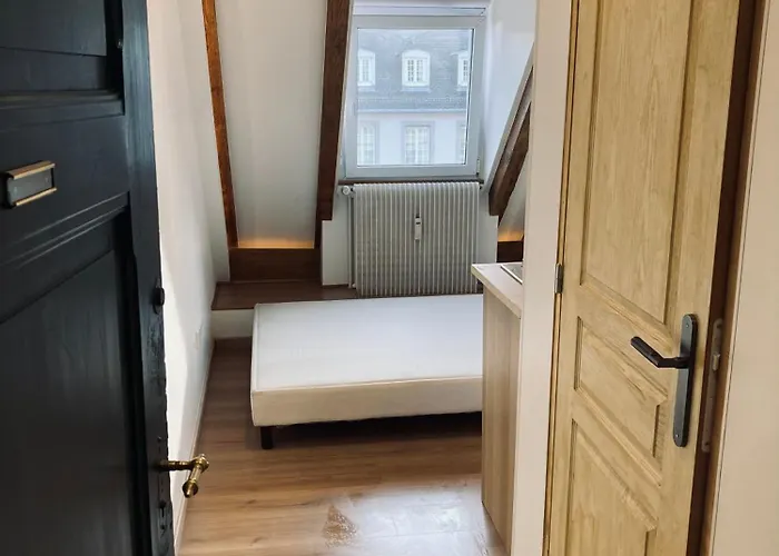 Quartier De L'orangerie * 斯特拉斯堡