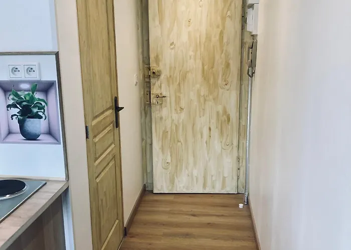 Quartier De L'orangerie 公寓 斯特拉斯堡