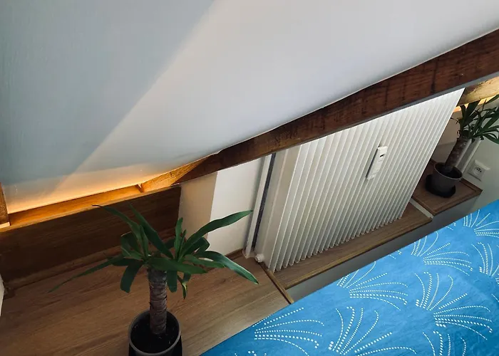 公寓 Quartier De L'orangerie 斯特拉斯堡