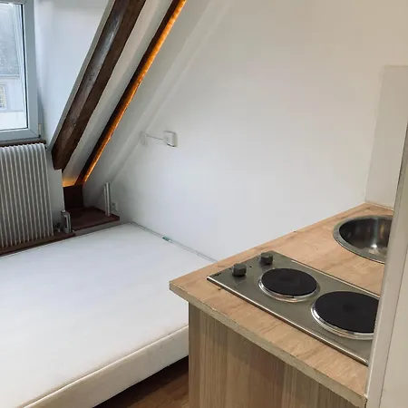 Quartier De L'orangerie Apartment Strasbourg