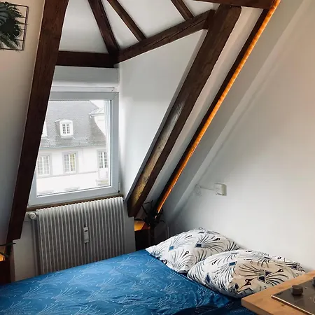 Quartier De L'orangerie Apartment Strasbourg